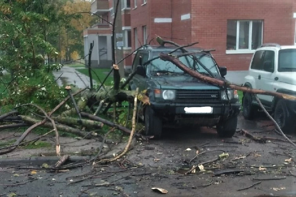 Фото Смирнова Сергея