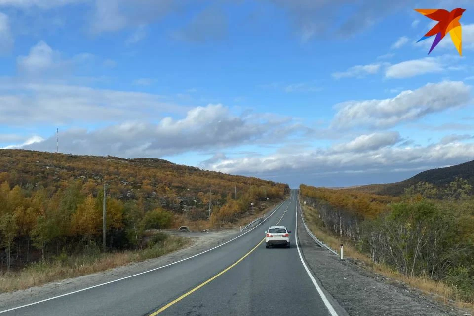 ДТП произошло в 11 километрах от Туманного.