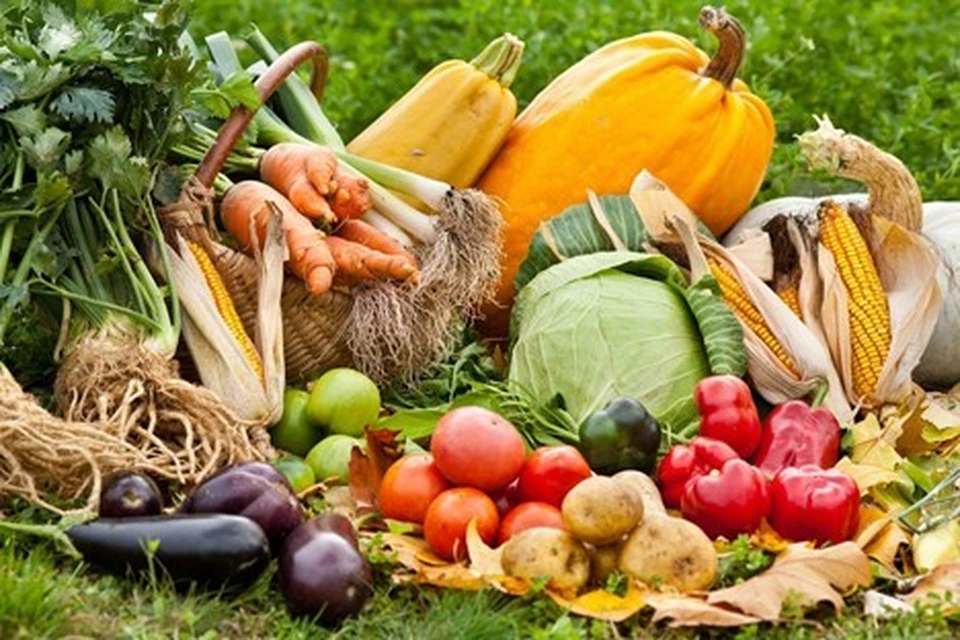 Специалисты Роспотребнадзора советуют употреблять больше овощей и фруктов.