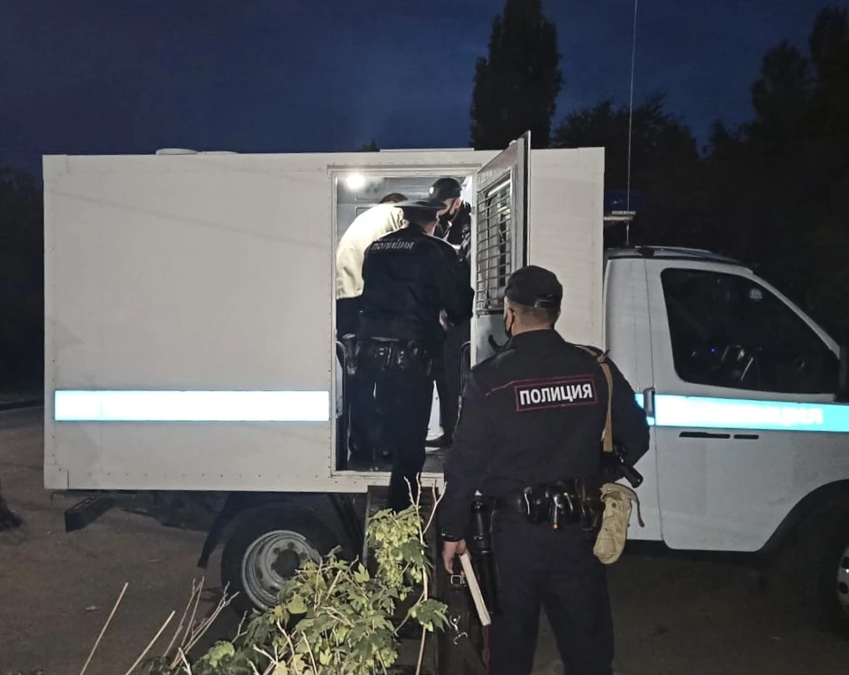 Убийство в Вязовке