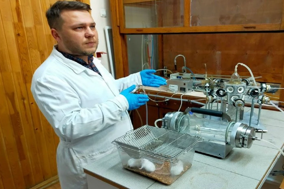 Новосибирские ученые рассказали о новых разработках в сфере медицины. Фото: "Ведомости Заксобрания НСО".