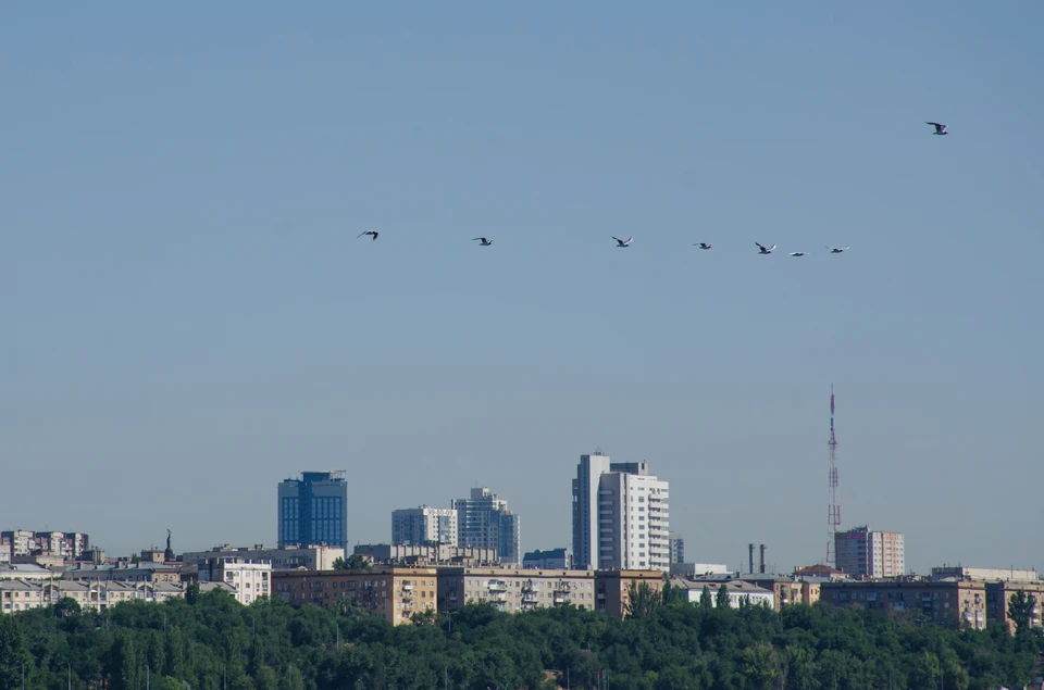 УК лишилась более двухсот домов.