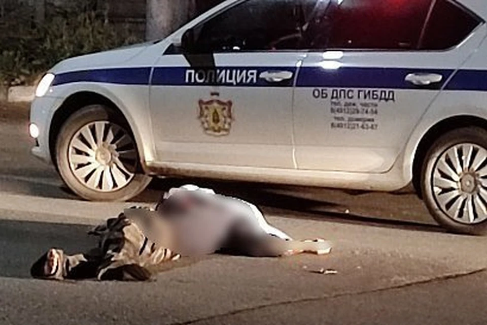 На улице Новой «Лада Гранта» насмерть сбила пожилого рязанца. Фото: Ya62