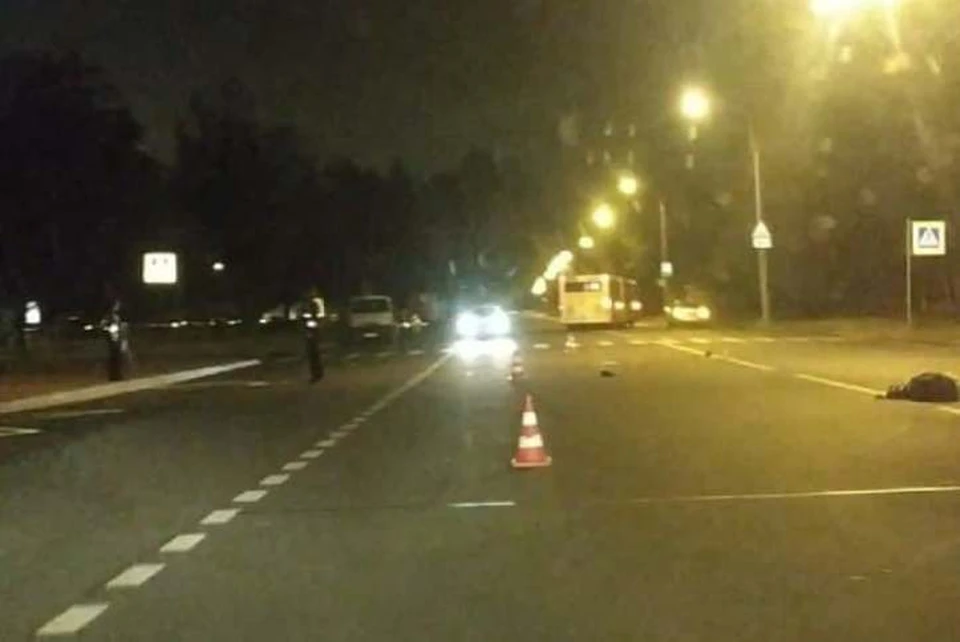 Дама с собачкой скончались на месте Фото: ДТП и ЧП Петербурга