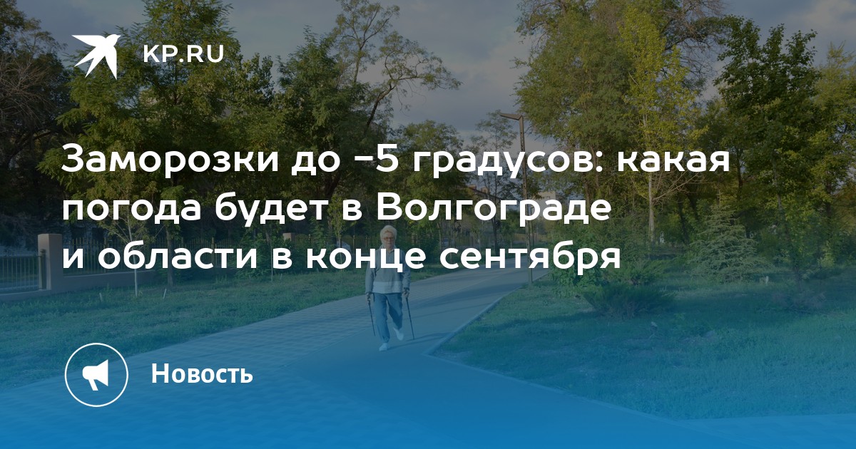 Погода В Волгограде На Новый Год