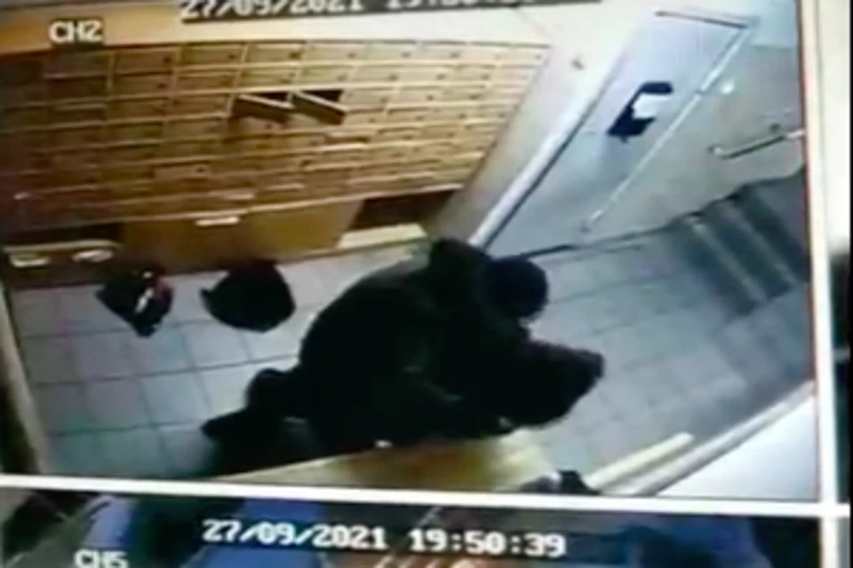 После словесной перепалки началась драка