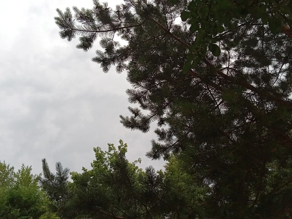 Погода в Югре на 1 октября