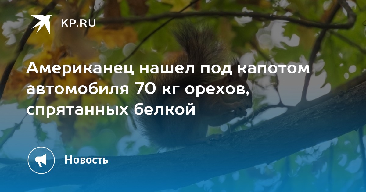 Собираясь в школу миша нашел под подушкой под диваном