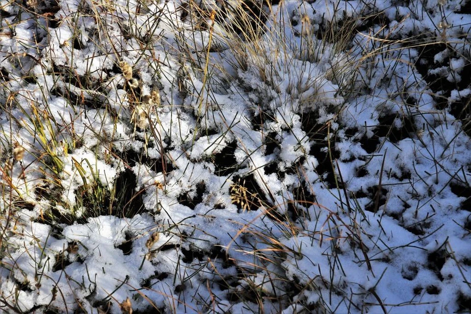В этом году первый снег в Алматы выпал очень рано