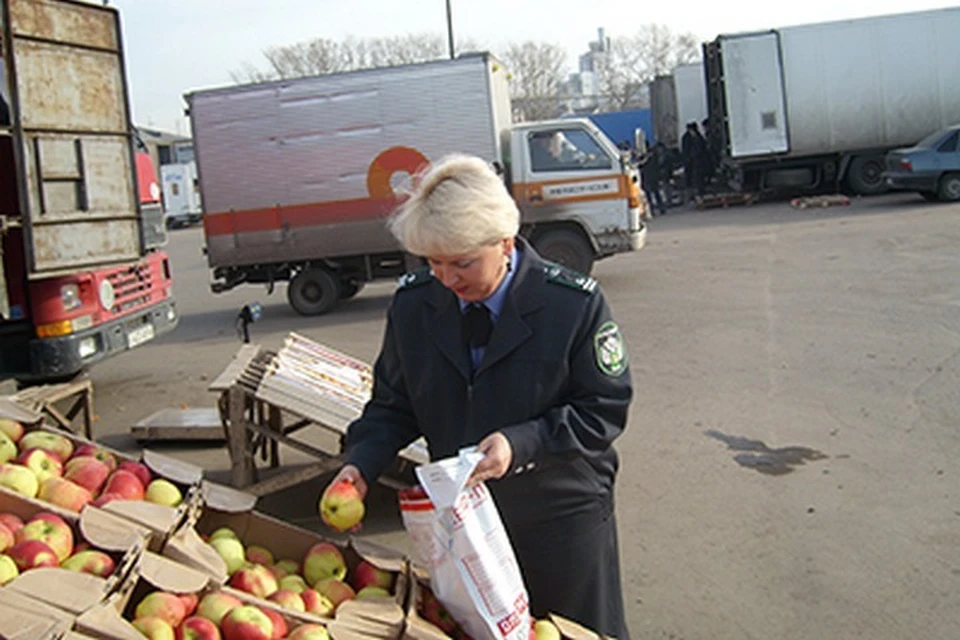 В Красноярске в сентябре на оптовых рынках нашли 68 тонн зараженных фруктов. Фото: Россельхознадзор