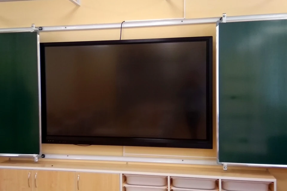 В школах Липецка к некоторых классах ввели карантин