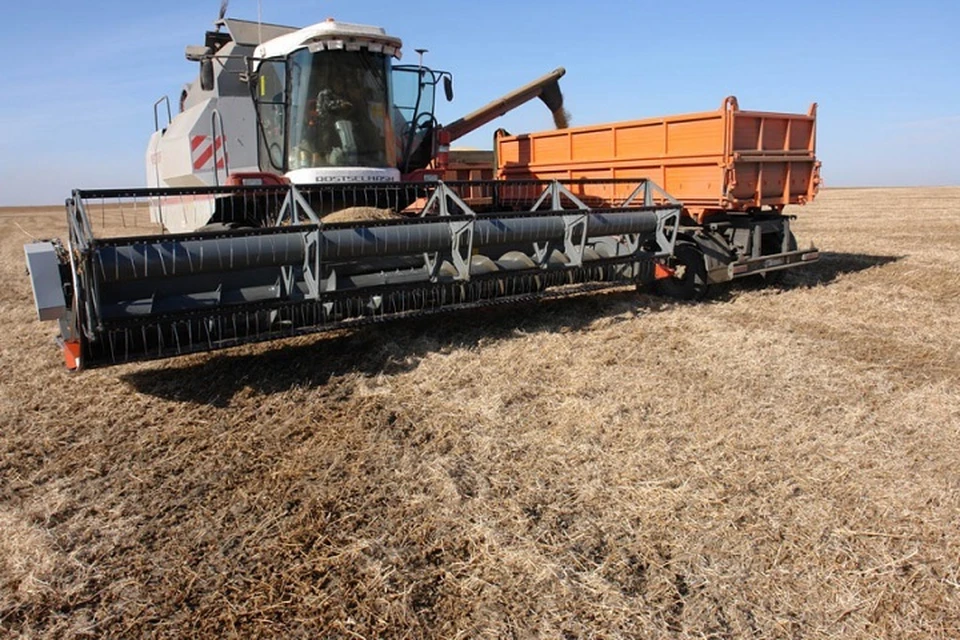 Уборка зерновых полным ходом идет в Хабаровском крае