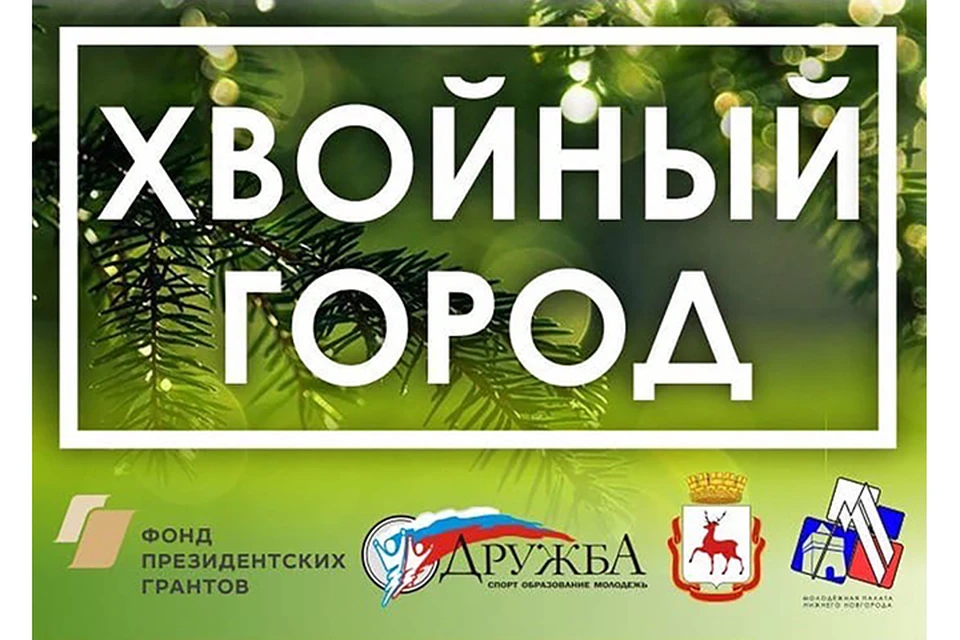 В Нижнем Новгороде проходит голосование на лучший проект хвойной аллеи