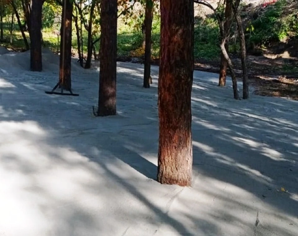 Омичи недоумевали, что происходит с деревьями в парке "Зеленый остров".