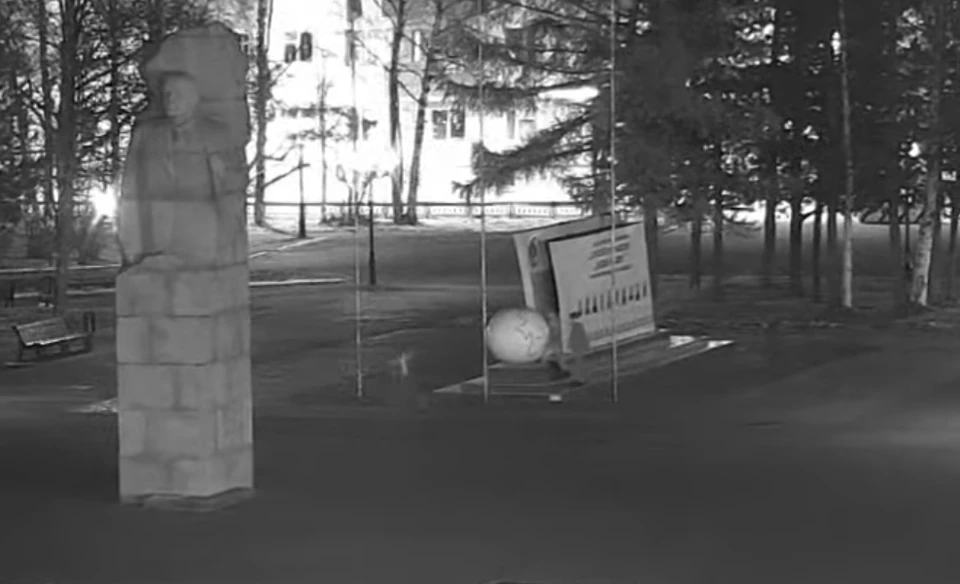 Фото: скриншот видео
