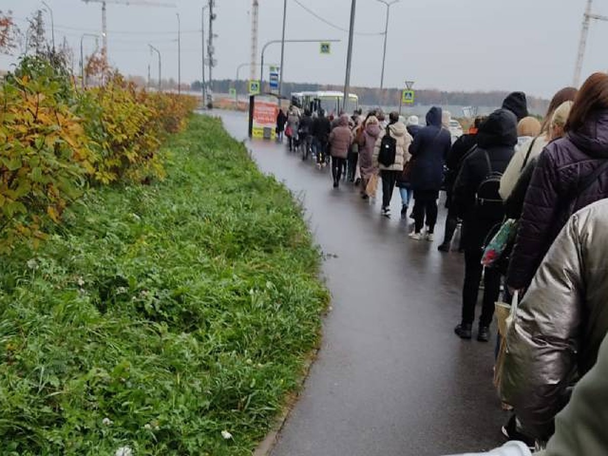 Гигантские очереди выстроились на общественный транспорт в Мурино утром 14  октября - KP.RU