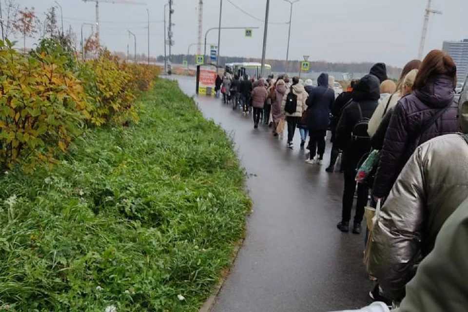 Жители Мурино пожаловались на гигантские очереди на общественный транспорт / Фото: ВК "Мурино сегодня"