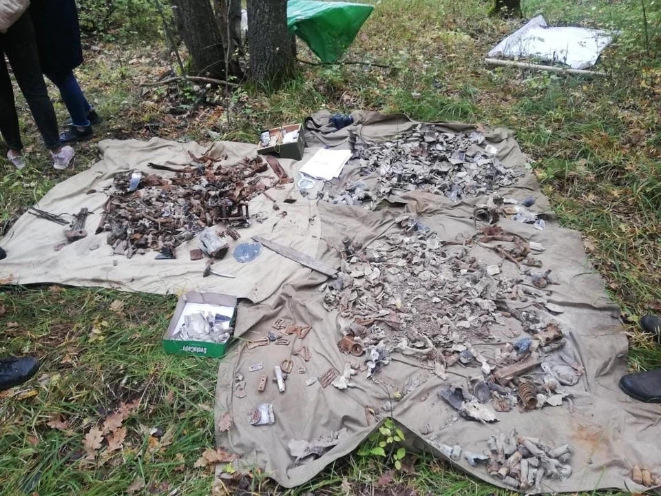 фото: со страницы Управления лесами Белгородской области в соцсети.