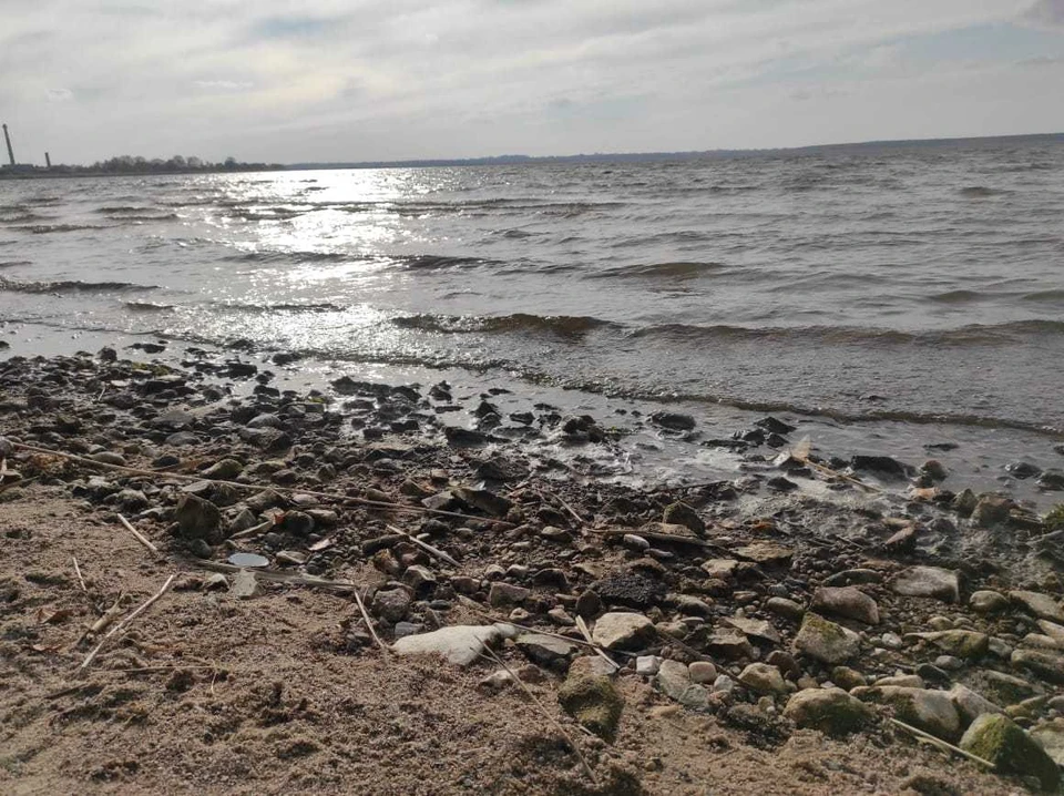 Мазутных пятен на поверхности воды и у берегов не обнаружено Фото: Минприроды Тверской области