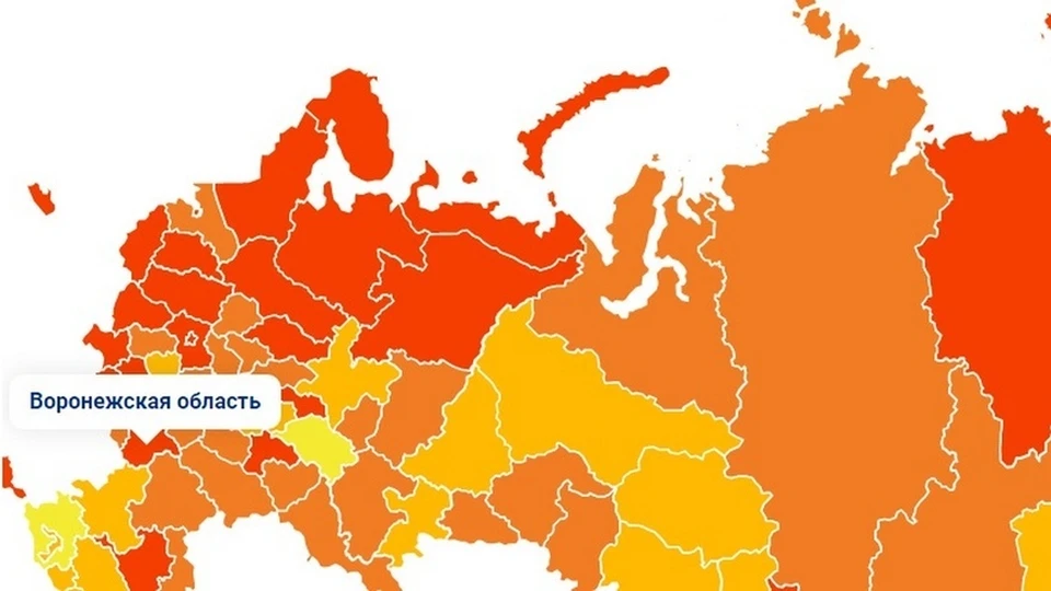 Скриншот с портала «Стопкоронавирус»