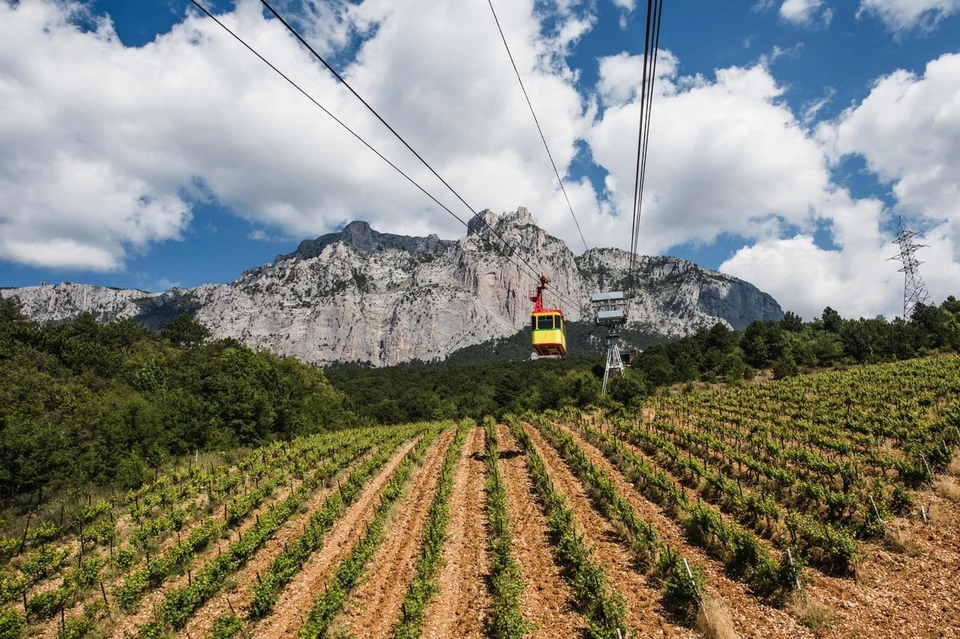 Канатная дорога «Мисхор - Сосновый Бор - Ай-Петри» считается одним из самых популярных туристических маршрутов в Крыму. Фото: kanatka.com