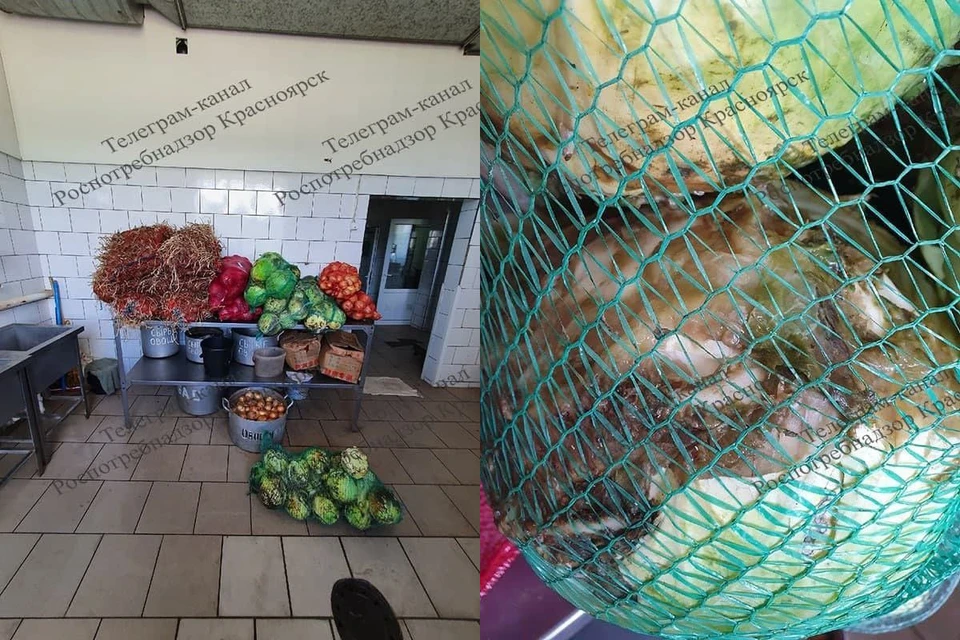 В Красноярском крае в столовой популярного курорта обнаружили 254 килограммов гнилых овощей. Фото: Роспотребнадзор
