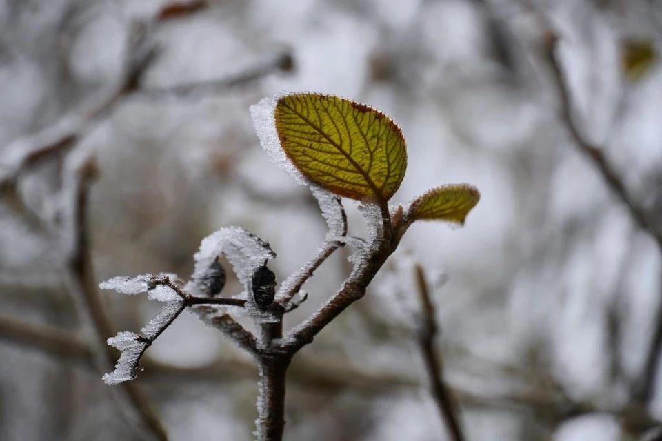 Дождь, снег и мороз до 3 градусов ожидается в Казахстане