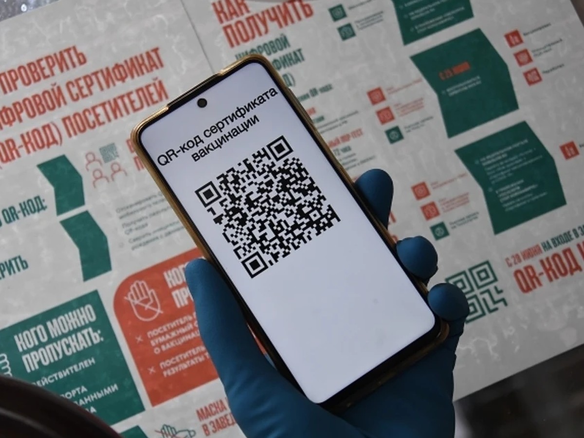 В Краснодарском крае для туристов введут QR-коды для посещения торговых  центров, кафе и ресторанов - KP.RU