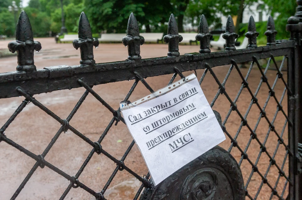 Из-за шторма в Петербурге закрыли сады и скверы