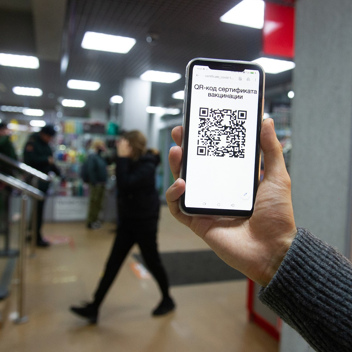 QR-коды в Республике Адыгея 2021: главное, что нужно знать - KP.RU