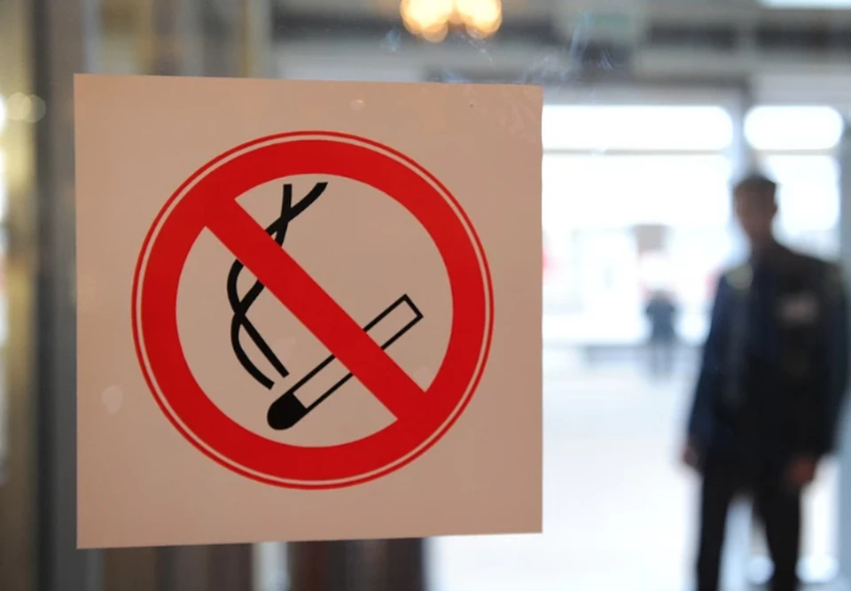 В России собираются создать систему распознавания курильщиков в неположенных местах