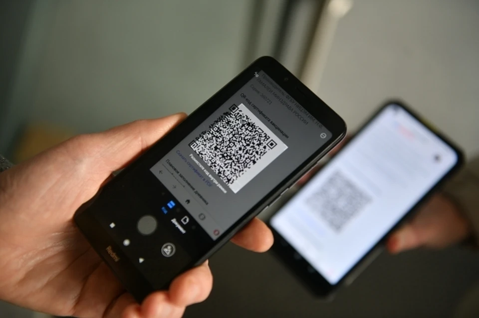 Эксперт по кибербезопасности оценил риски кражи QR-кода россиян