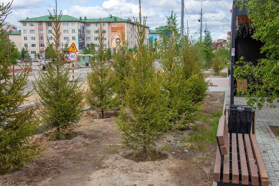 Фото: личная страница Алексея Титовского в соцсети
