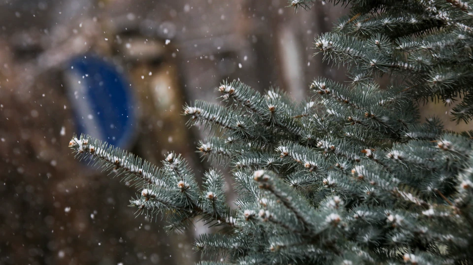 Утром снег перейдет в дождь. Фото: Сергей Грачев