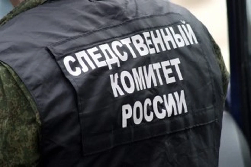 Фото: Пресс-служба СУ СК РФ по РМ