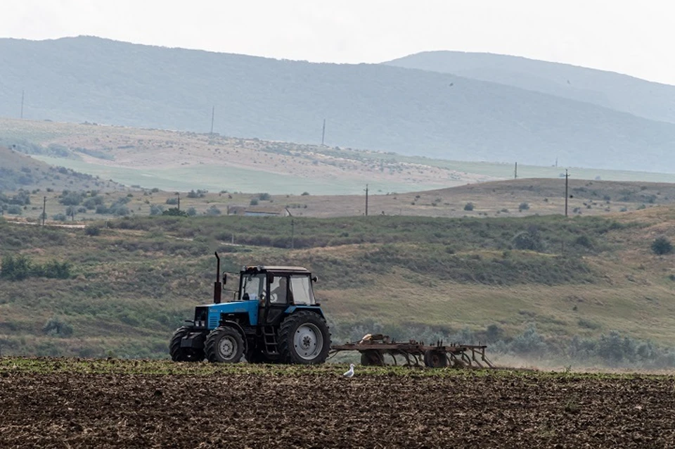 Аграриям компенсируют часть затрат от засухи