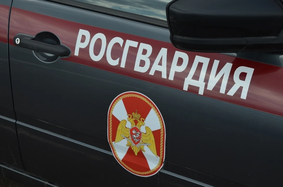Житель Северного района Орла попался росгвардейцам на краже
