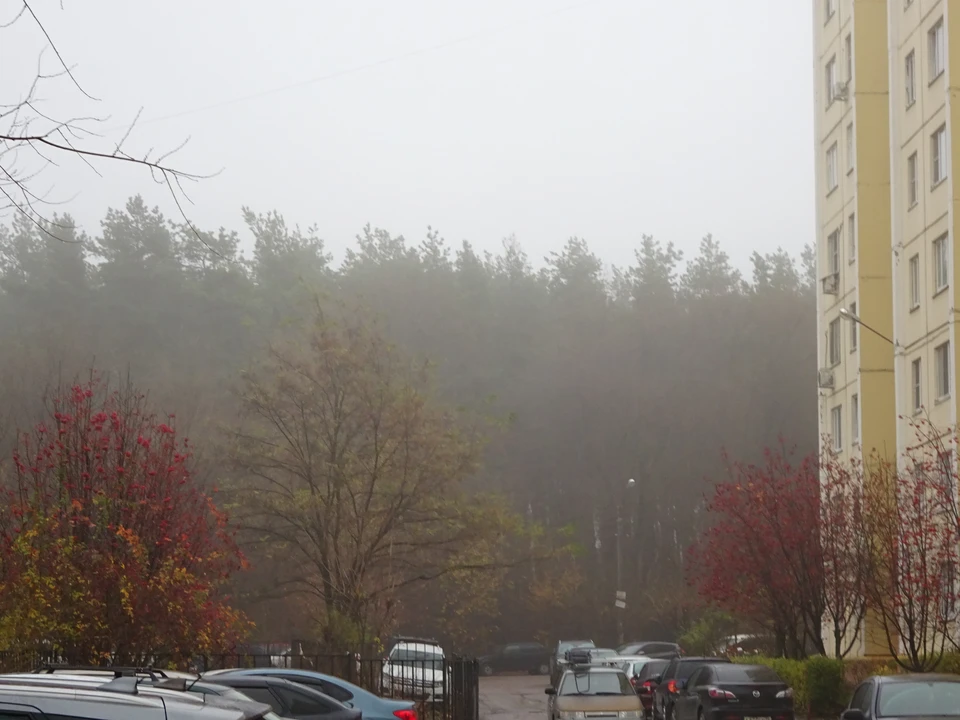 Праздничное утро в Воронеже выдалось туманным.