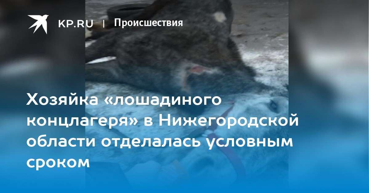 www.nnov.kp.ru