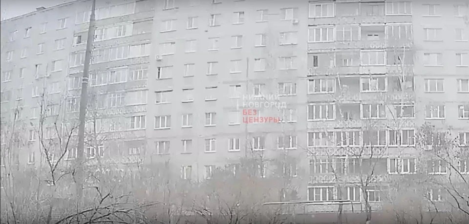 Момент падения кошки. Скриншот с видео сообщества «Нижний Новгород |БЕЗ ЦЕНЗУРЫ|».