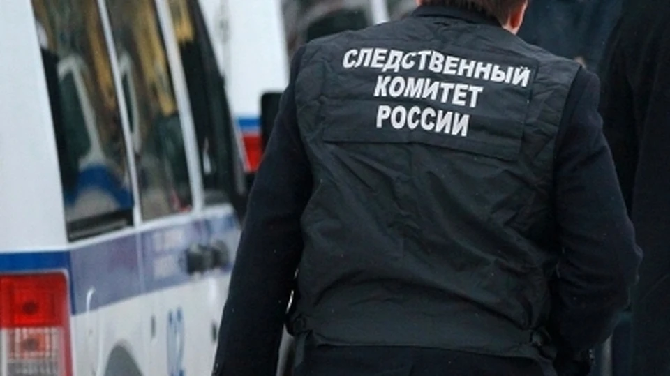 Фото: СУ СК России по Тульской области