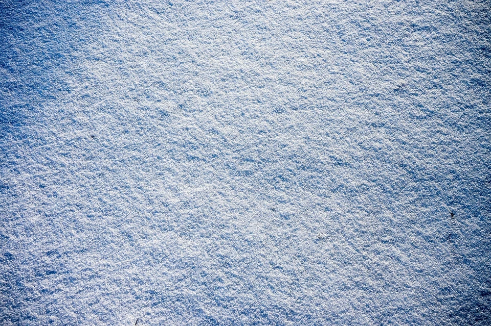 Фото: Изображение Leonhard Nie с сайта Pixabay