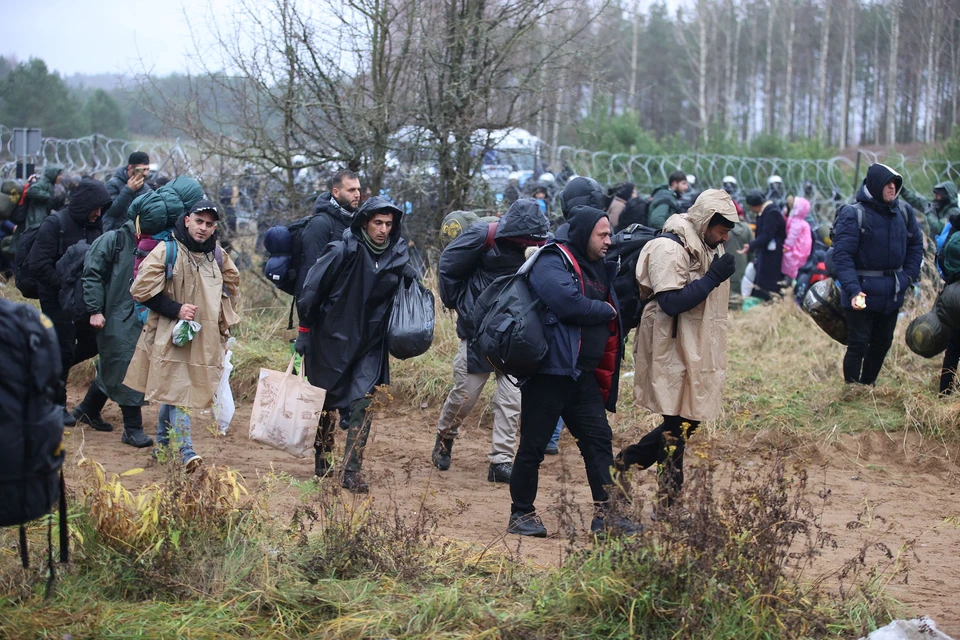 До 4 тысяч мигрантов находится на на границе Польши и Белоруссии