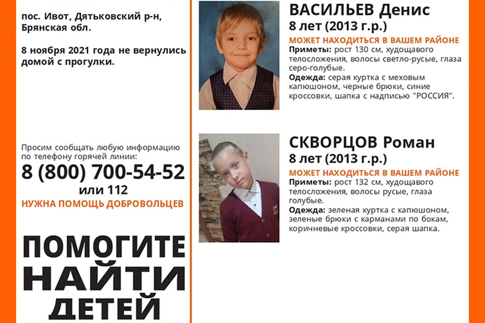 Фото: поисковый отряд "Лиза Алерт" Брянск".