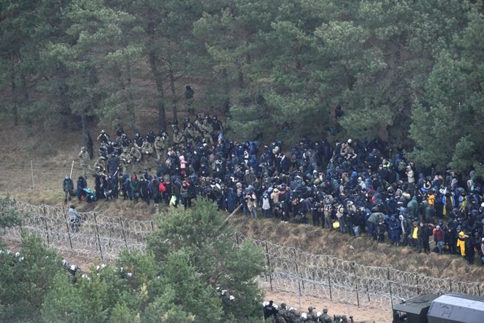 Нелегальные мигранты на границе Польши и Белоруссии