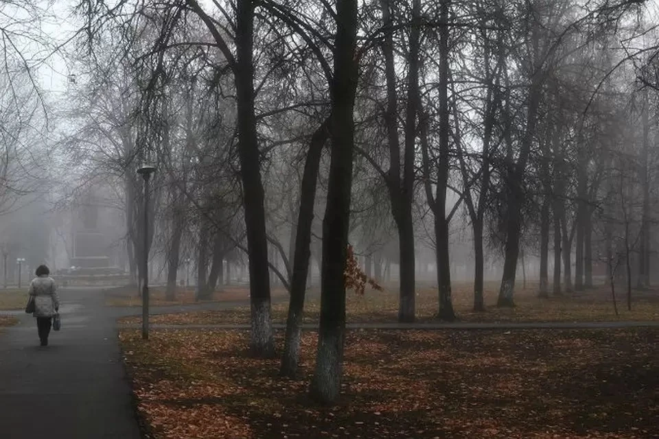 День был пасмурным. Пасмурный ноябрь. Дождливая осень в Орле. Осень, дождь, Орел. Осень в Орле мрачная.