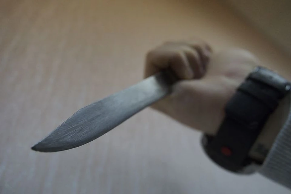 На предварительном следствии злоумышленник признал свою вину