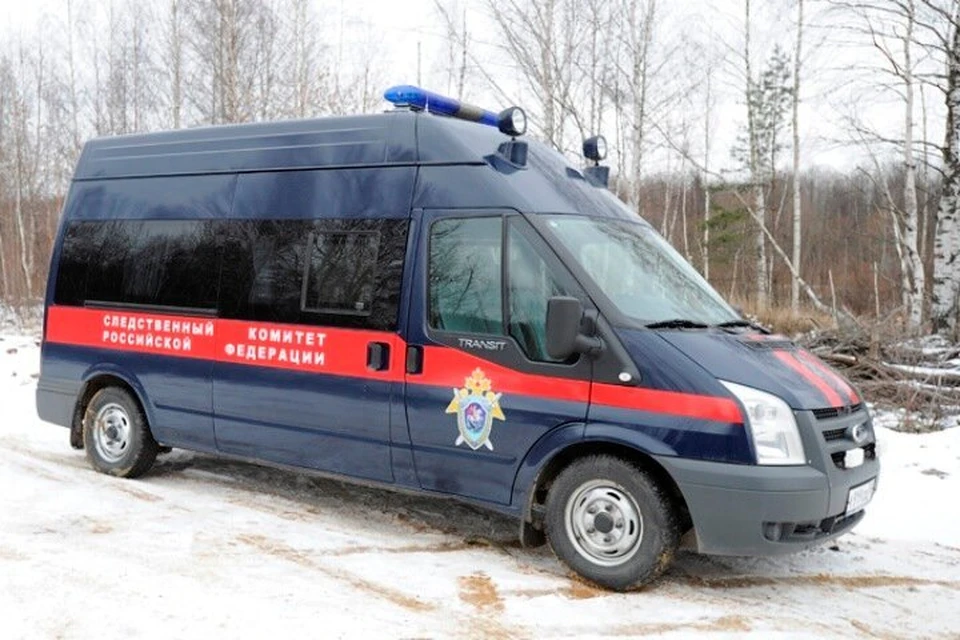 Расследование уголовного дела продолжается.