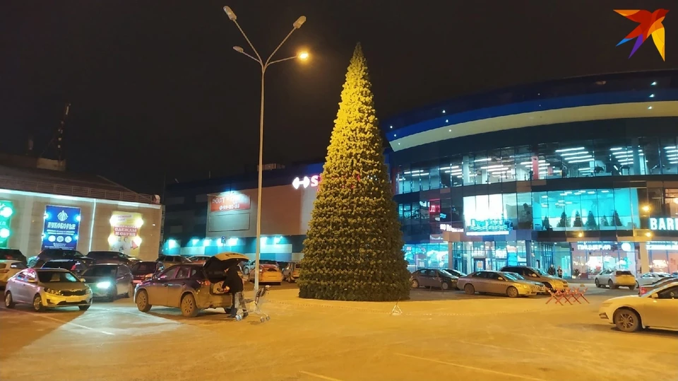 Новогоднюю елку установили в Ижевске. Фото: Игорь Бобров