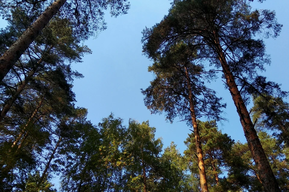 В Липецке днем около 8 градусов тепла